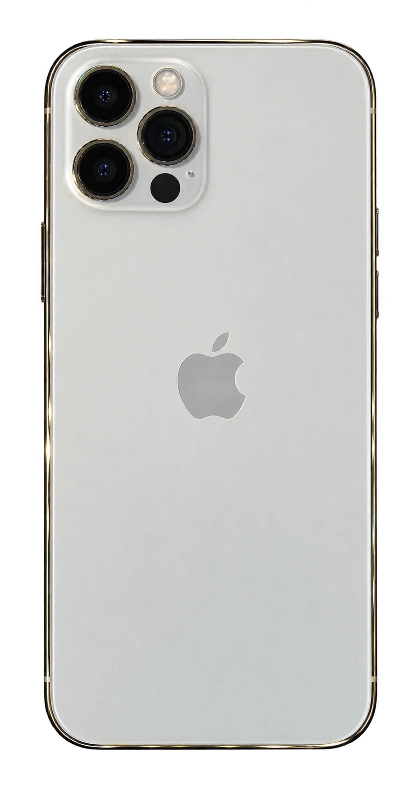 iPhone 12 Pro, Rückansicht
