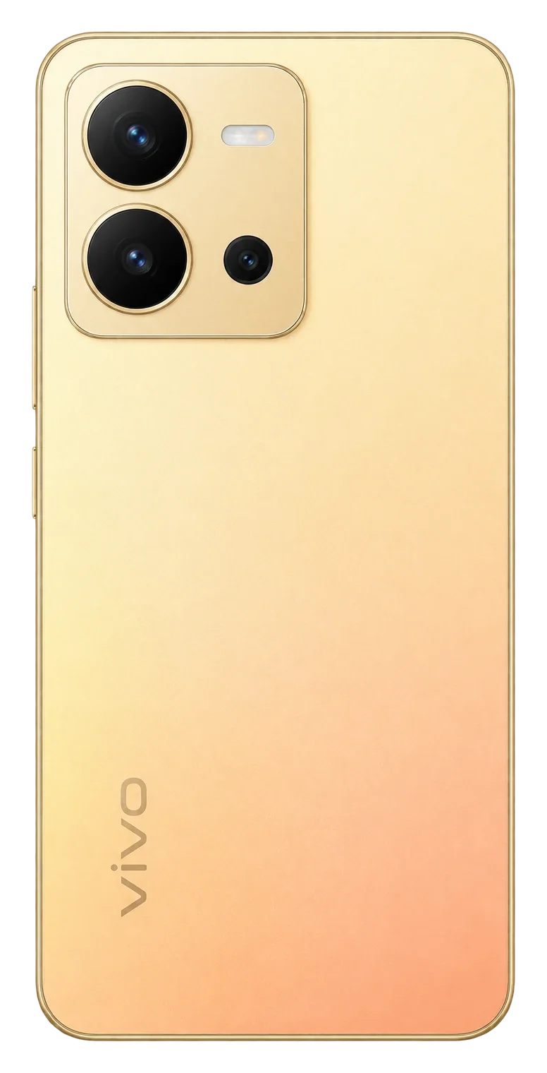 vivo X80 Lite, Rückansicht